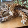 画像3:  にゃんこ用鳥ネック　５本セット　またたびパウダー3ｇ付き (3)