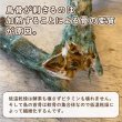画像5: 鳥ネック定期コース　500ｇ (5)