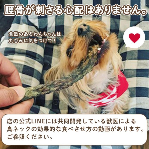 画像7: 鳥ネック定期コース 各200g (7)