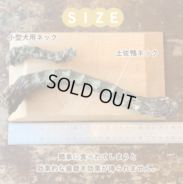 画像4: 土佐鴨ネック　500ｇ　薬草：熊笹 (4)