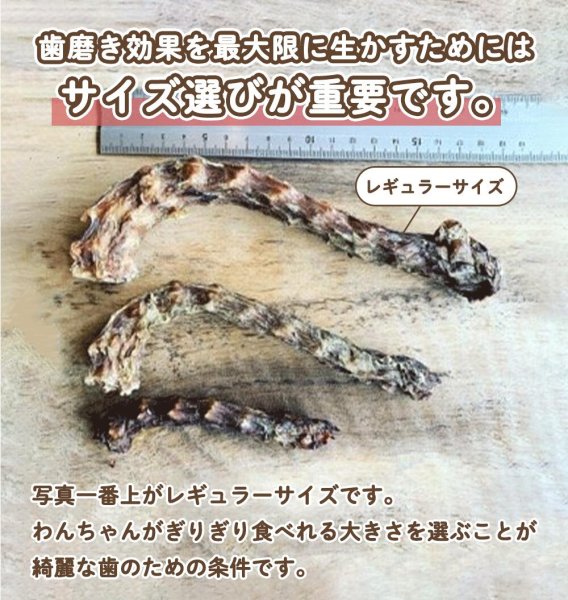 画像4: 徳用鳥ネックレギュラーサイズ200g　　薬草：熊笹 (4)