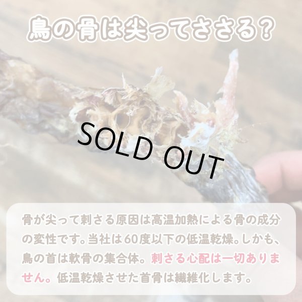 画像5: 土佐鴨ネック　500ｇ　薬草：熊笹 (5)