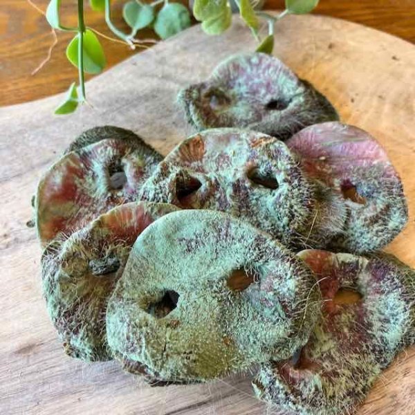 画像1: 【徳用】豚鼻　120g 約７個 (1)