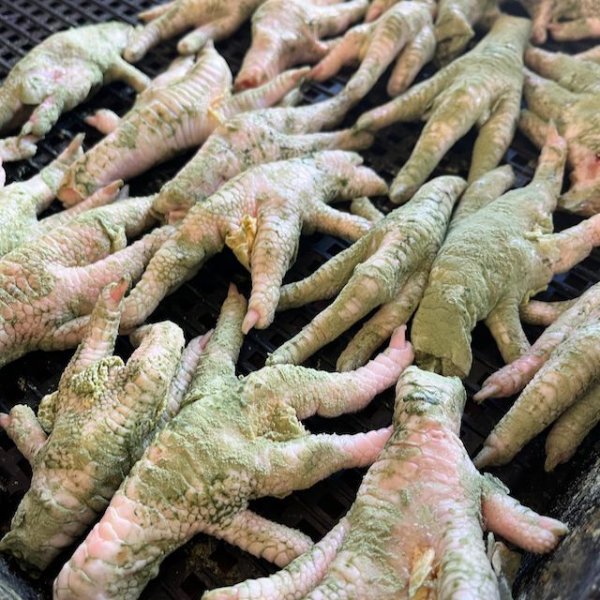 画像3: バラエティー定期コース (3)