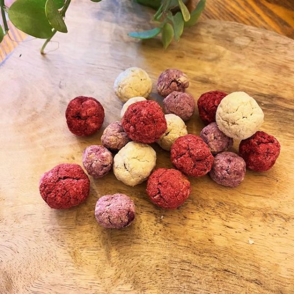 画像2: バラエティー定期コース (2)