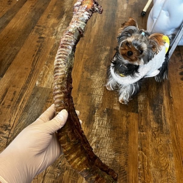 画像3: 【予約販売】宮崎牛ウルテ１本 (3)