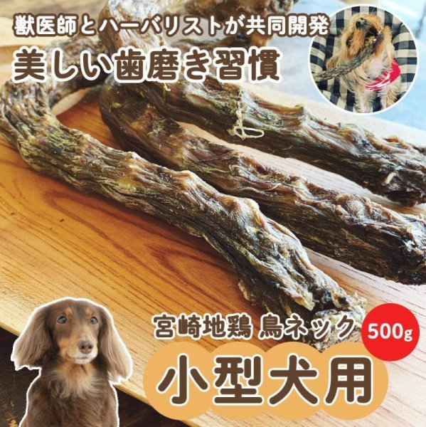 画像1: 徳用鳥ネック 小型犬用500g　　薬草：熊笹 (1)